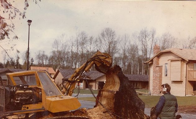 Photo of Field's Tree Service Inc.