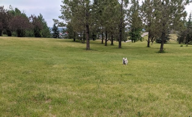 Photo of Oliver Quarry Off Leash Dog park