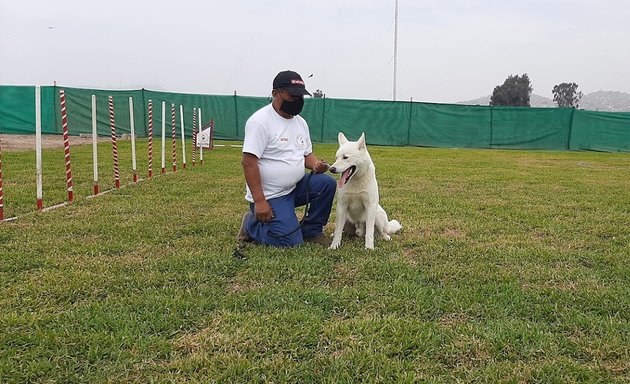 Foto de CENTRO DE ADIESTRAMIENTO CANINO - Escuela Canina ASTY - Sede Chosica