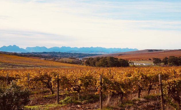 Photo of Nitida Wine Farm