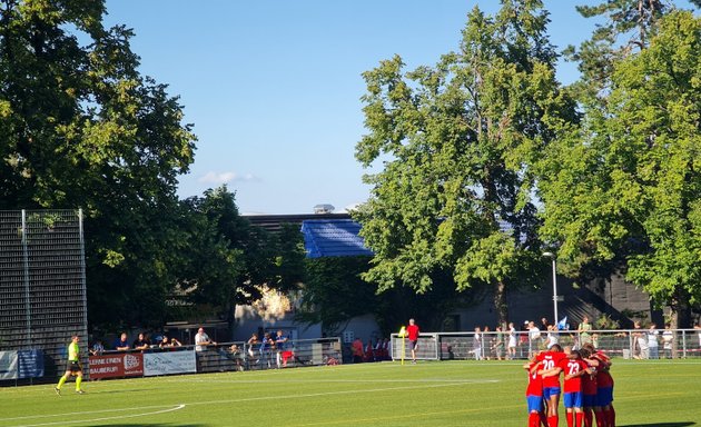 Foto von Fussballplatz FC Wiedikon