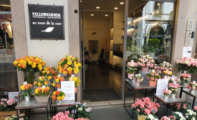 foto Au Nom De La Rose Corso Magenta