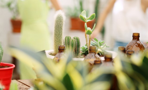 Photo of Holistic Health Center