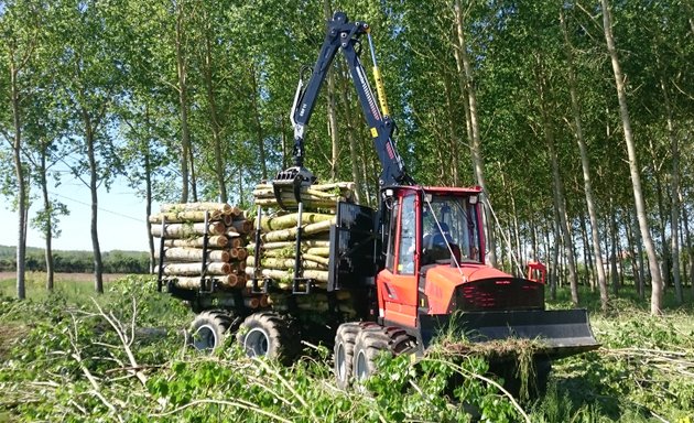 Photo de Alliance Forêts Bois Toulouse