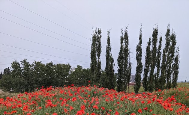 Photo of Petronas Memorial Garden