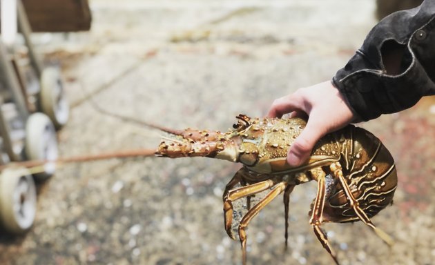 Photo of Hao Jing Seafood INC.