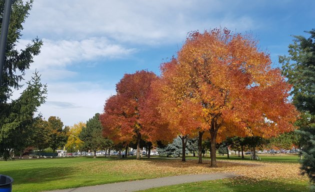 Photo of Ben Lee Park