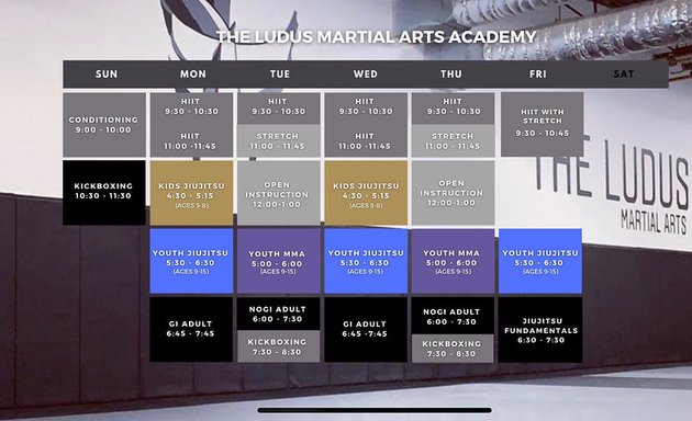 Photo of The Ludus Martial Arts Academy