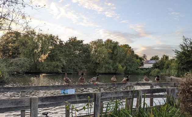 Photo of Millers Pond