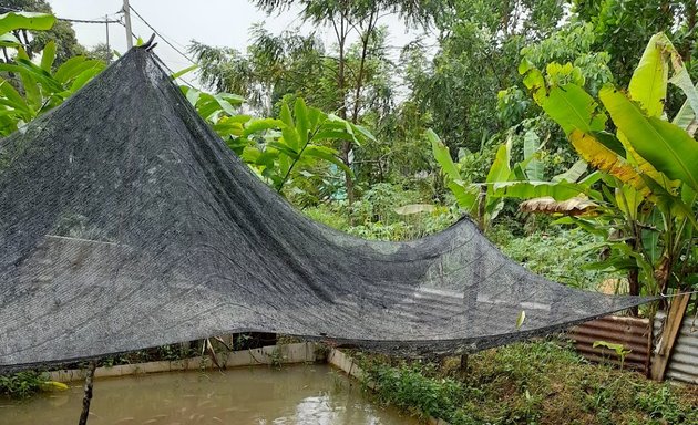 Photo of Ikan Haruan Segar Hulu Langat