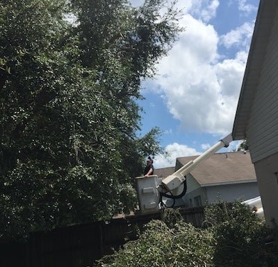 Photo of Stinson Tree Service