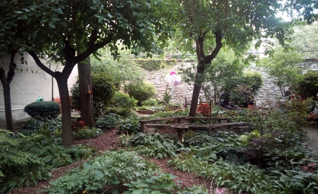Photo of Albert's Garden