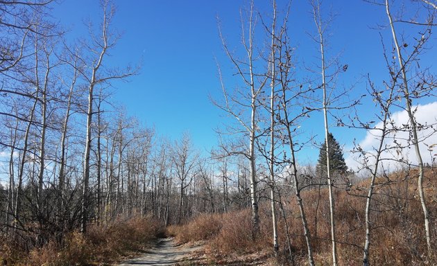Photo of Weaselhead Natural Area Parking
