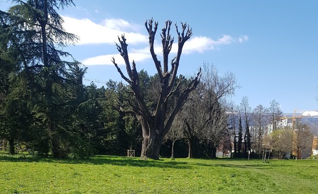 Photo de Les Hauts du parc