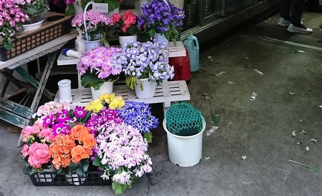 写真 石川生造花店