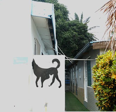 Photo of Koney’s Veterinary Hospital