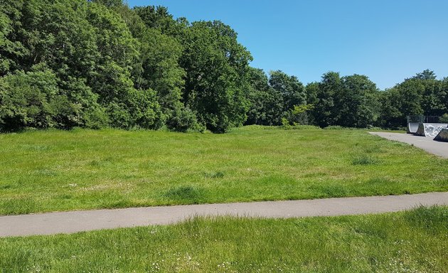 Photo of Shirley Warren skatepark