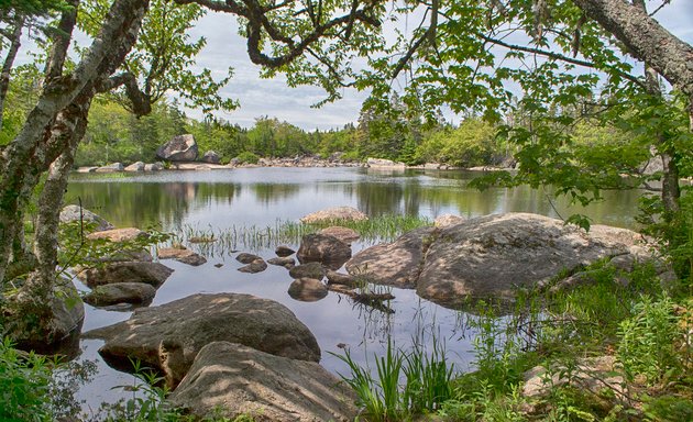 Photo of Mainland Common