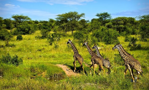 Photo of Durban safari and tours. Big Five safaris from Durban city. DurbanSafaris.com
