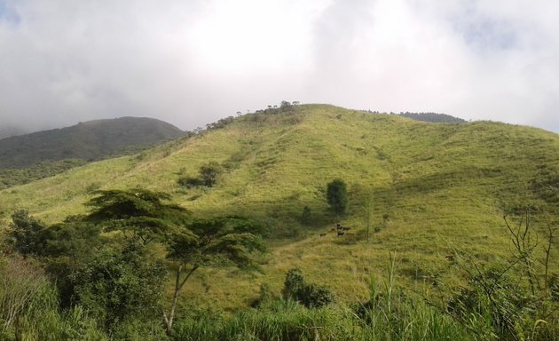 Foto de Bioparques