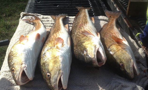 Photo of Gulfside Fishing Charters with Capt.Wes Burns