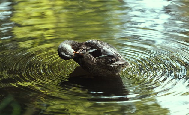 Photo of Lake Friendly