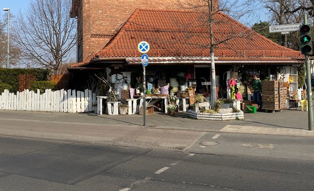 Foto von Gänseblümchen Floraldesign UG