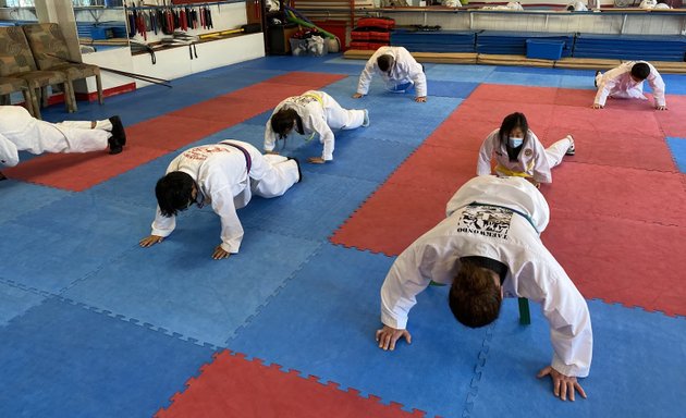 Photo of Academy of Taekwondo at Tiger Kim's