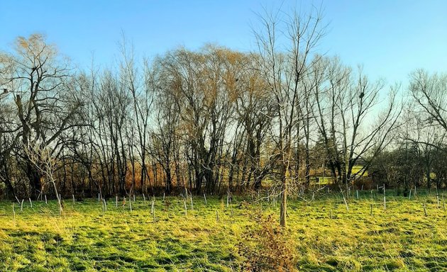 Photo of Fred Kline Park