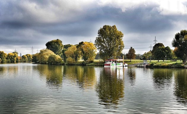 Foto von Höchster Mainufer