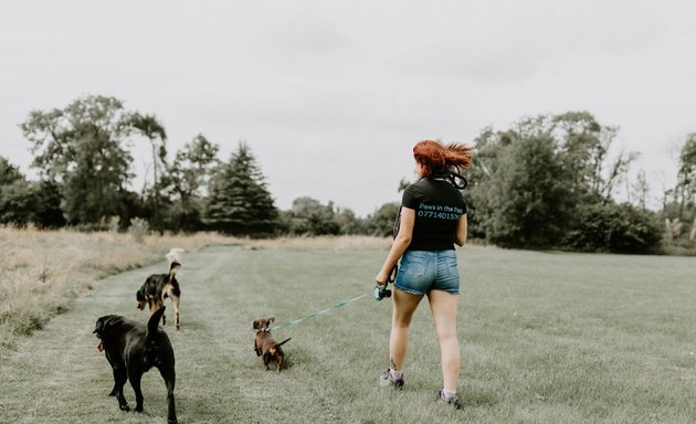 Photo of Paws in the Park Dog Walking and Pop-in Service