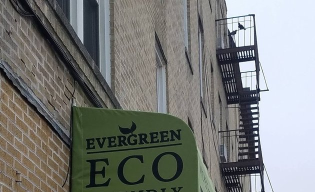 Photo of Evergreen Eco Pest Control
