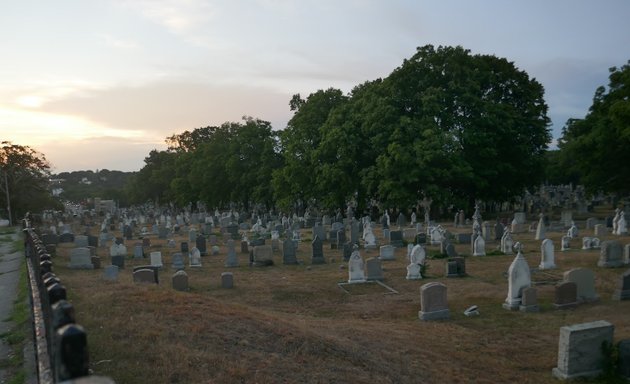 Photo of Mt. Calvary Cemetery