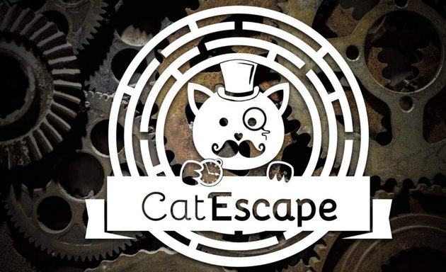 Photo de CatEscape - Escape Game avec des chats à Lyon !