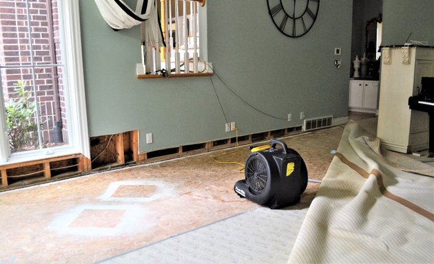 Photo of A Master Carpet Cleaner