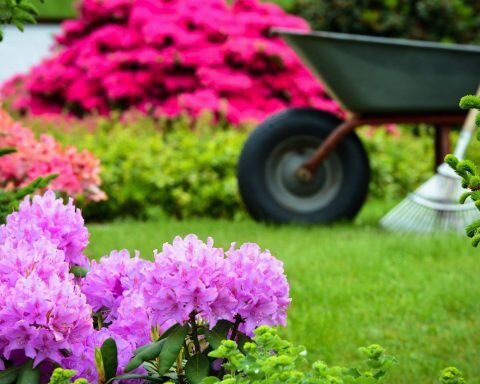 Photo of C Perez Sprinklers & Landscape