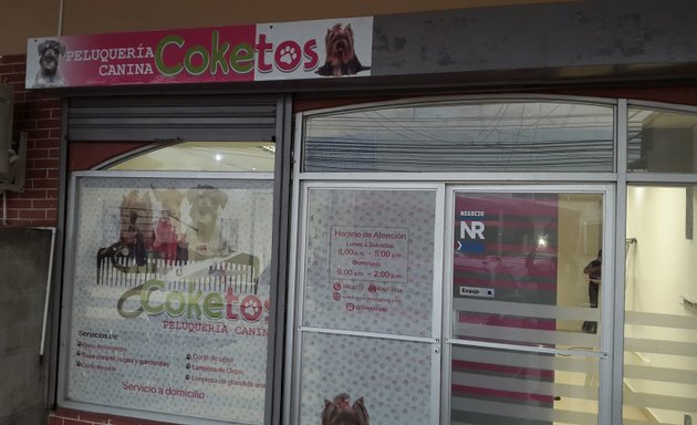 Foto de Peluqueria canina COKETOS