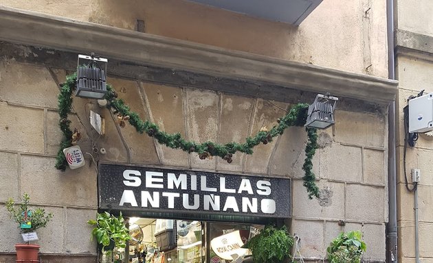 Foto de Semillas Antuñano