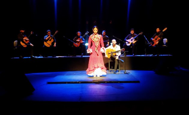 Foto de Flamenco Karla Torres