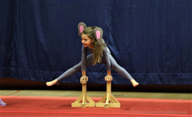 Photo of Checkers Gymnastics