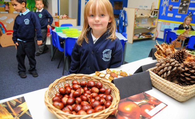 Photo of Beecroft Primary School