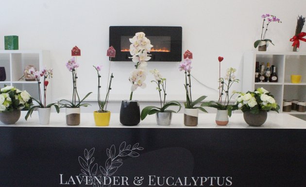 Photo of Lavender & Eucalyptus Boutique