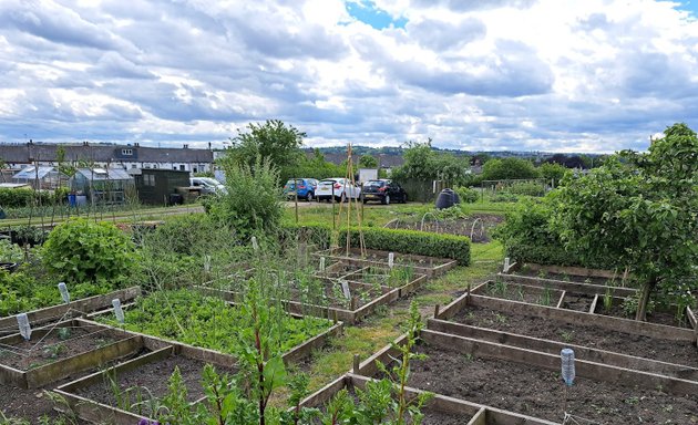 Photo of Willow Green Allotments