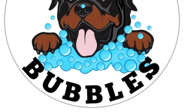 Photo of Buddy Bubbles Dog grooming