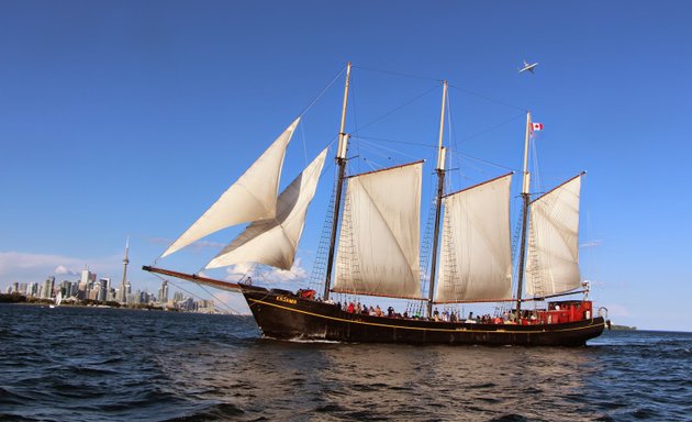 Photo of Cruise Toronto