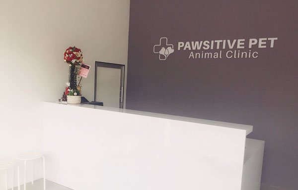 Photo of Pawsitive Pet Animal Clinic