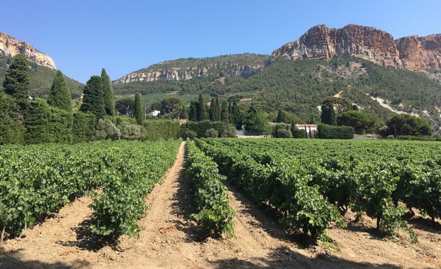 Photo de Provence Wine Tours