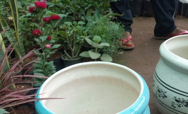 Photo of Mahboob Plant Nursery