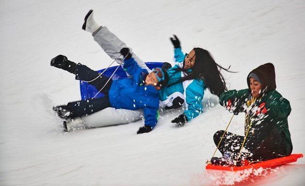 Photo of Adventure Snow Tours - Mount Buller Day Trip