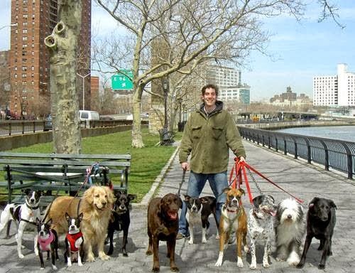 Photo of NY Loves Dogs/Susan Cava